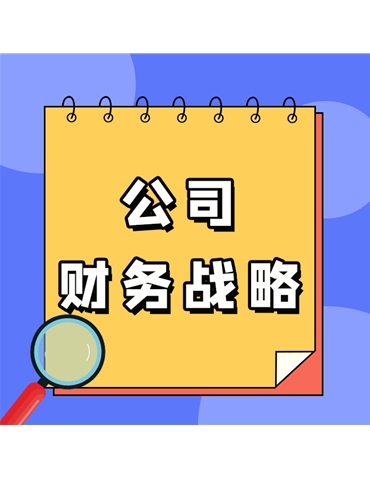 公司财务战略