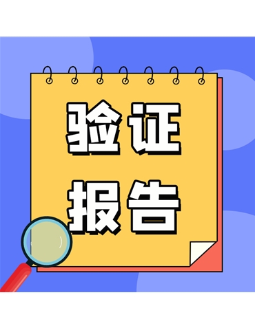 验证报告